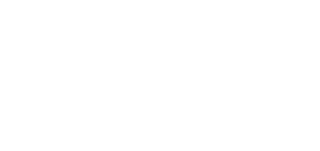 VIVO STUDIO